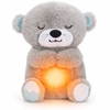 Cute Breathing Teddy Bear